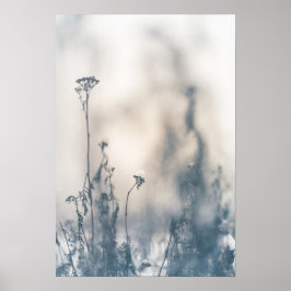 Póster Foto de la naturaleza de las plantas de invierno