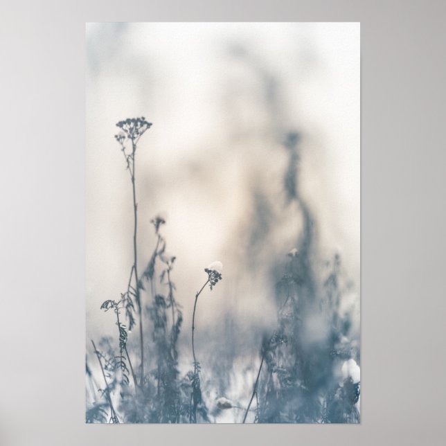 Póster Foto de la naturaleza de las plantas de invierno (Frente)