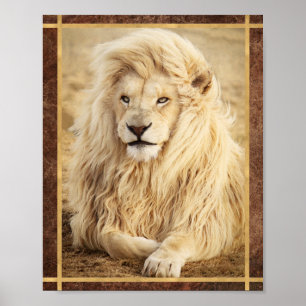 Póster Foto de León Blanco