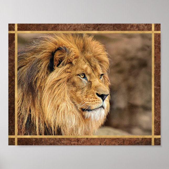 Póster Foto de León de Perfil (Frente)