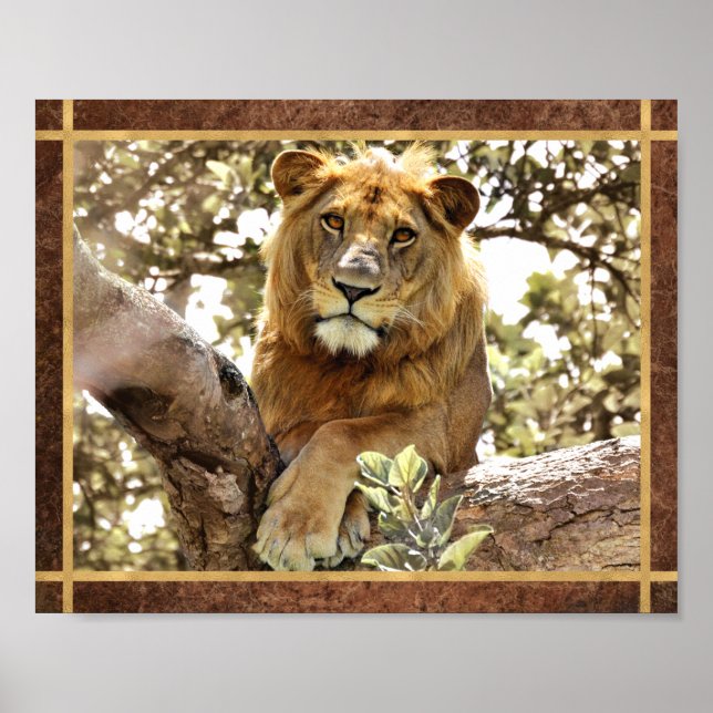 Póster Foto de León en un Árbol (Frente)