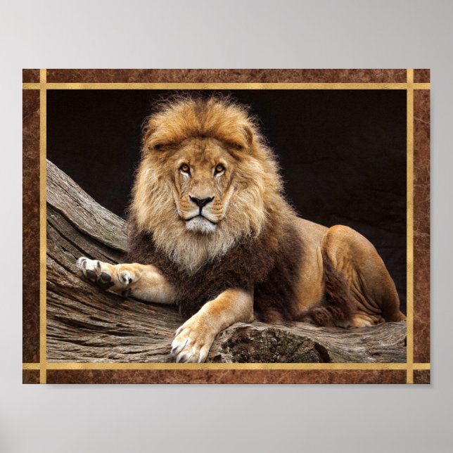 Póster Foto de León Gran Felino (Frente)
