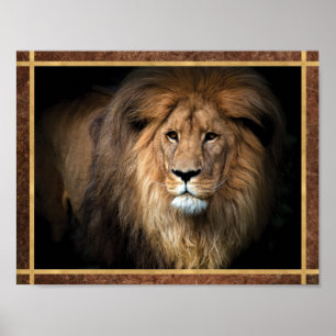 Póster Foto de León Majestuoso