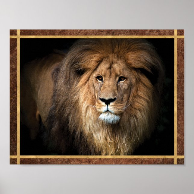 Póster Foto de León Majestuoso (Frente)