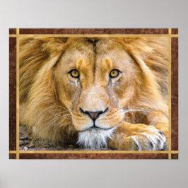 Póster Foto de Lion Face