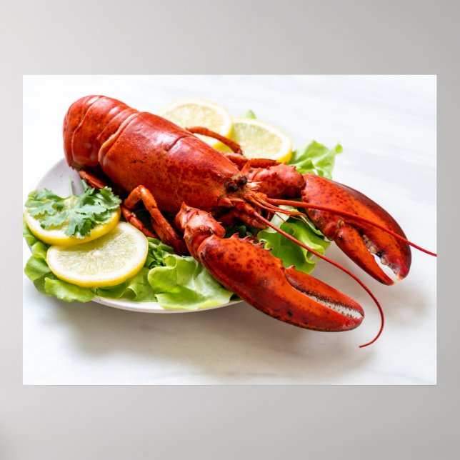Póster Foto de Lobster (Frente)