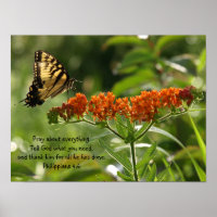 Foto de mariposa Filipinas Biblia contra poster