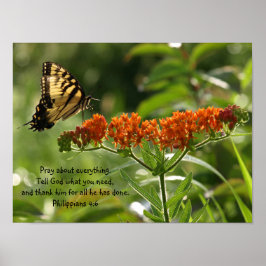 Póster Foto de mariposa Filipinas Biblia contra poster