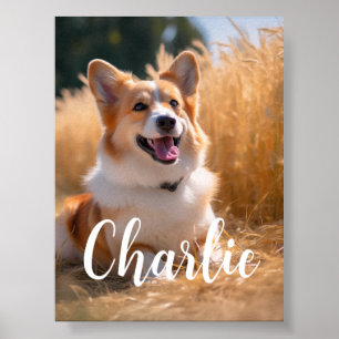 Póster Foto de mascota personalizada