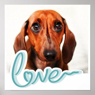 Póster Foto de mascota personalizada con LOVE en tipograf