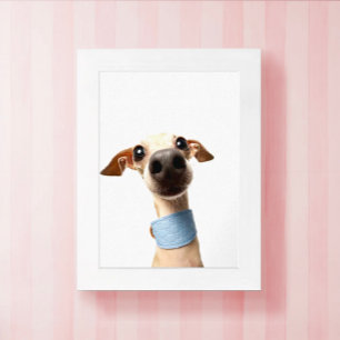 Póster Foto de mascota personalizada moderna Meeko
