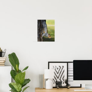 Póster Foto de naturaleza de ardilla gris oriental linda