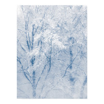 Foto de naturaleza de invierno de árboles cubierto