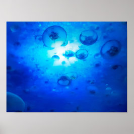 Póster Foto de Ocean Blue Jellyfish