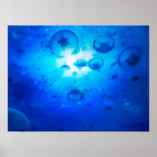 Póster Foto de Ocean Blue Jellyfish (Frente)