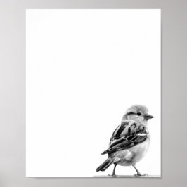 Póster Foto de pájaro salvaje blanco y negro