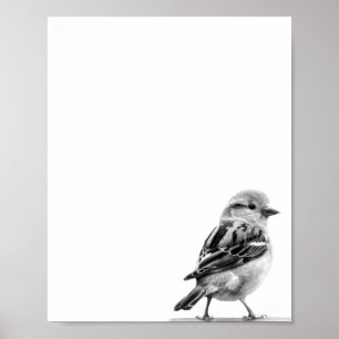 Póster Foto de pájaro salvaje blanco y negro