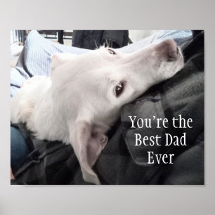 Póster Foto de Perro Adorable Mejor Papá del Mundo