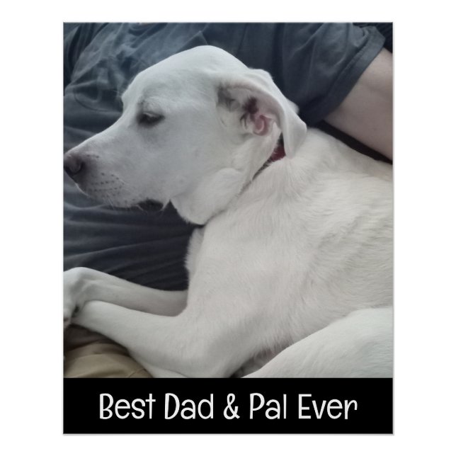 Póster Foto de perro lindo con su mejor amigo (Anverso)