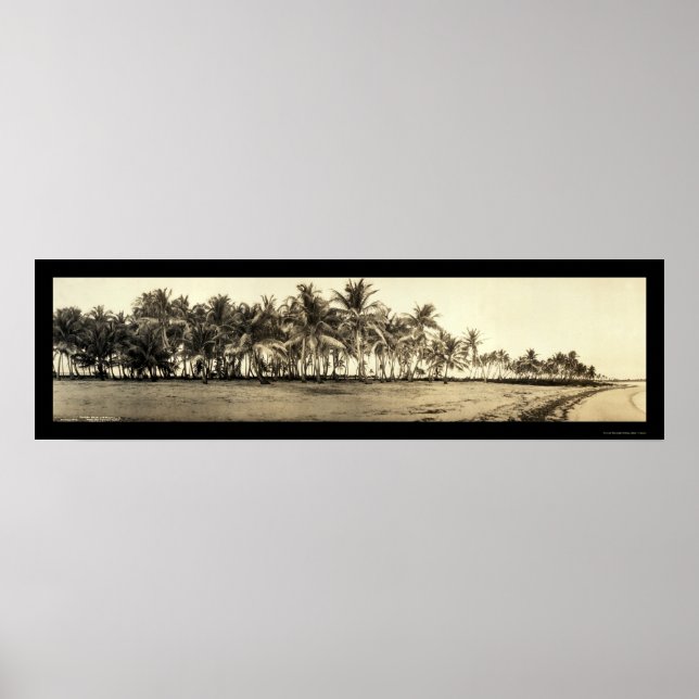 Póster Foto de pesca de los Cayos de Florida 1912 (Frente)