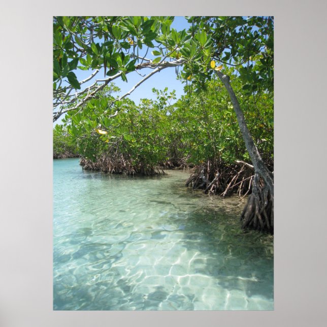 Póster Foto de Puerto Rico (Frente)