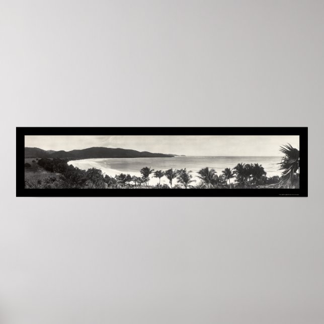 Póster Foto de Puerto Rico Flamingo 1914 (Frente)