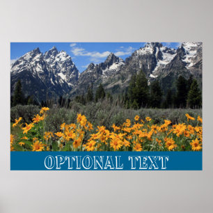 Póster Foto de recuerdo de Grand Teton Springtime
