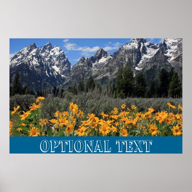 Póster Foto de recuerdo de Grand Teton Springtime (Frente)