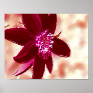 Póster Foto de Red Daisy Pintura de Flores