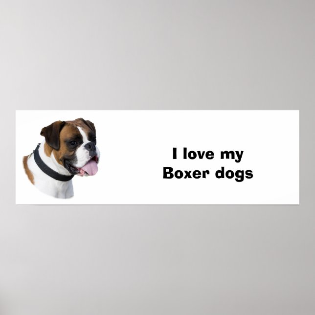 Póster Foto de retrato de perro de Boxer (Frente)