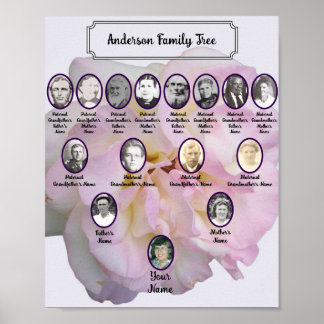 Póster Foto de rosa rosa claro con fotos ovaladas de ante