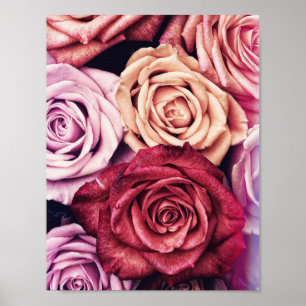 Póster Foto de Rosas Rosa Bouquet