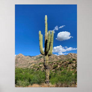 Póster Foto de Saguaro Cactus Blue Skies Arizona