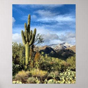 Póster Foto de Saguaro Cactus Winter Arizona