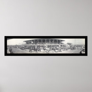 Póster Foto de Sedalia MO para ganado 1911