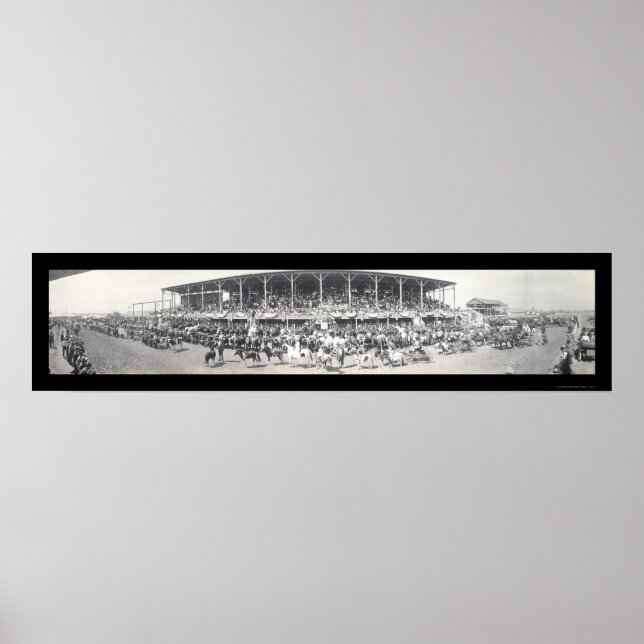 Póster Foto de Sedalia MO para ganado 1911 (Frente)