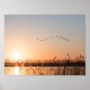 Póster Foto de Sunrise Nature