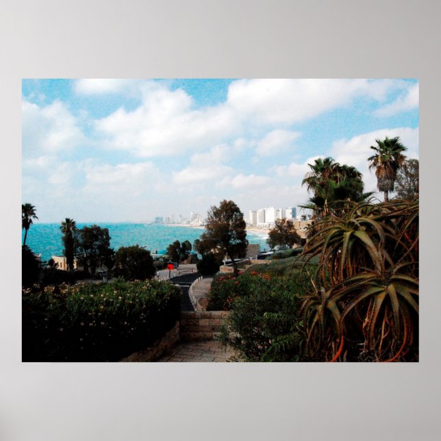 Póster Foto de Tel Aviv del Parque Abrasha, Jaffa, Israel (Frente)