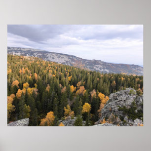 Póster foto de un bosque montañoso otoñal, montañas, p