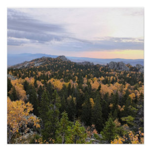 Póster foto de un bosque montañoso otoñal, montañas, p