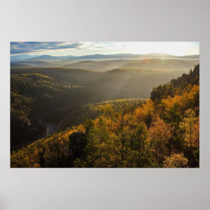 Póster foto de un bosque otoñal montañoso, montañas, p