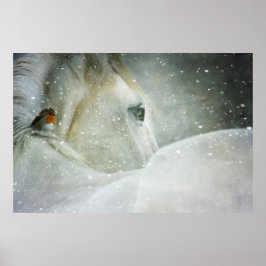 Póster Foto de un caballo blanco y un pájaro en invierno