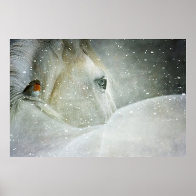 Póster Foto de un caballo blanco y un pájaro en invierno (Frente)