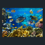 Póster Foto de un pez tropical en un arrecife de coral<br><div class="desc">Foto de un pez tropical en un arrecife de coral © y ® Bigstock® - Todos los derechos reservados.</div>