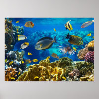 Foto de un pez tropical en un arrecife de coral