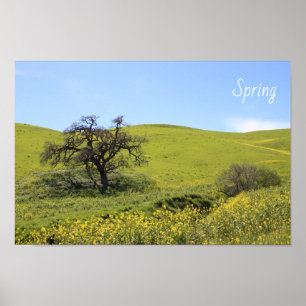 Póster Foto de Wildflowers Hillside Photo Oak Nature Scen