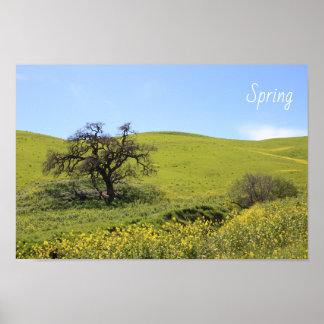Póster Foto de Wildflowers Hillside Photo Oak Nature Scen