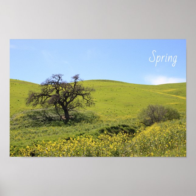 Póster Foto de Wildflowers Hillside Photo Oak Nature Scen (Frente)