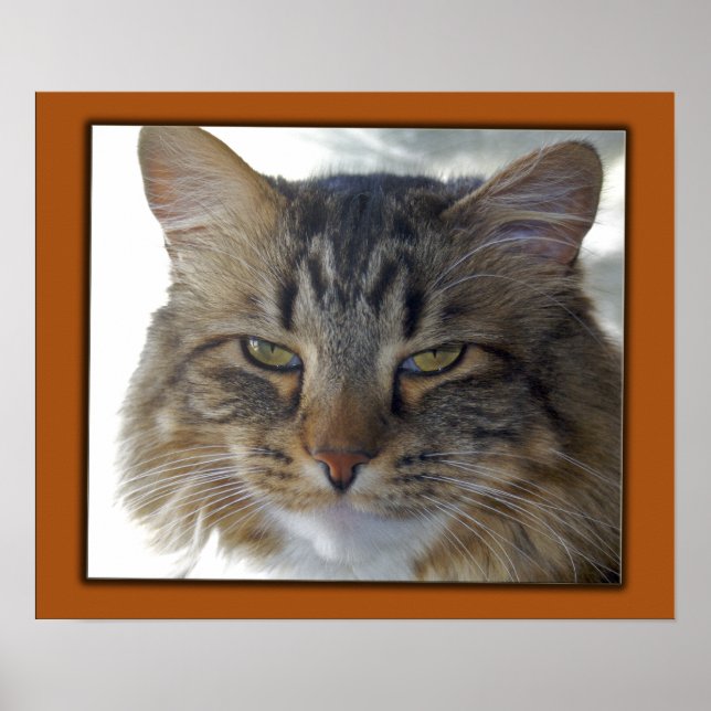 Póster Foto de Zak (Frente)