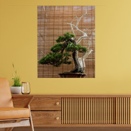 Póster Foto del árbol de Juniper Chino Bonsai